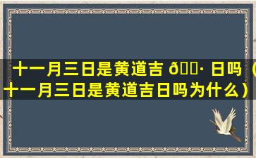 十一月三日是黄道吉 🌷 日吗（十一月三日是黄道吉日吗为什么）